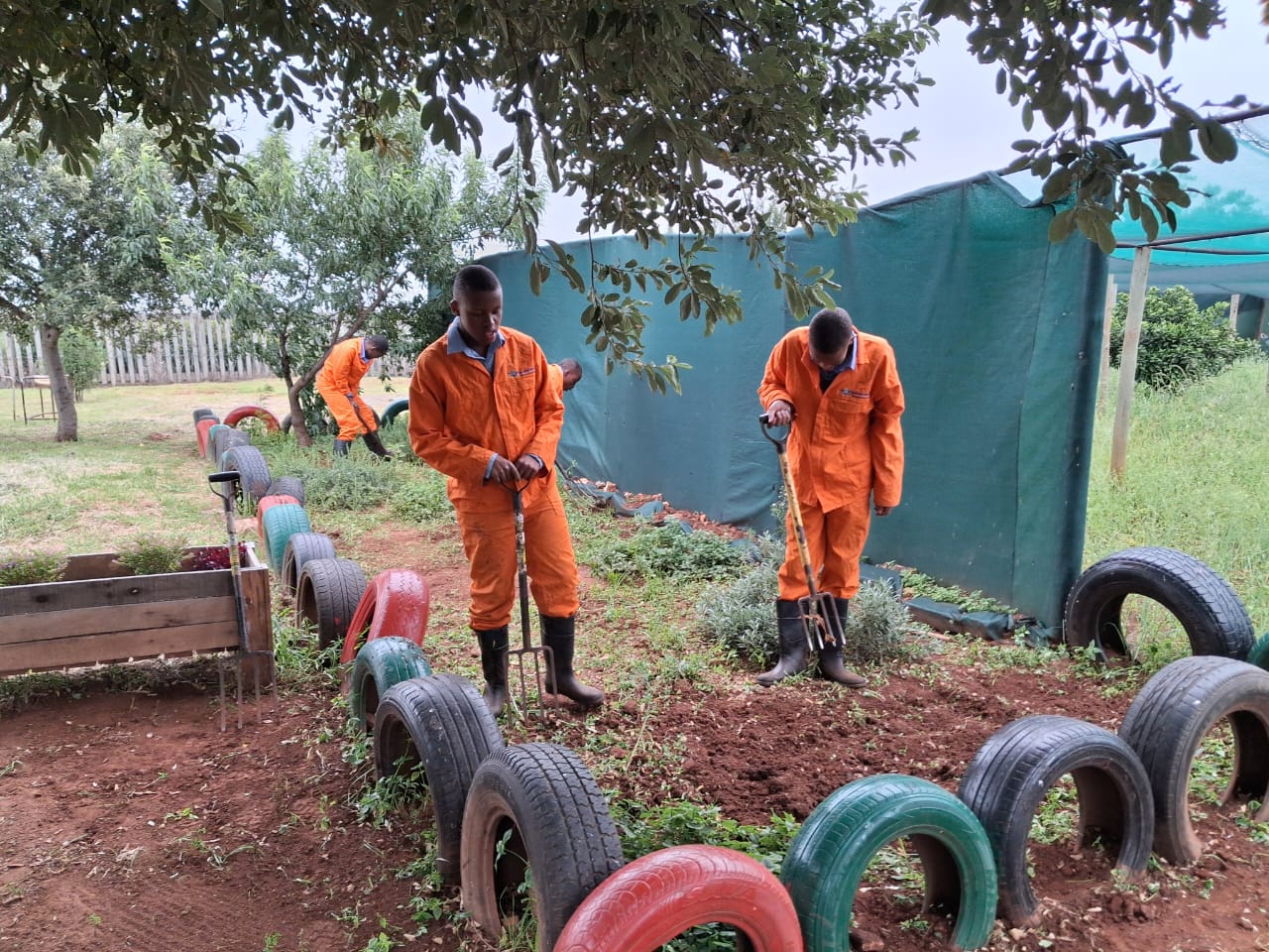 Learners turning soil with garden forks between painted tyre borders